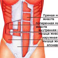 Эффективные упражнение на нижний пресс Как накачать самый низ живота